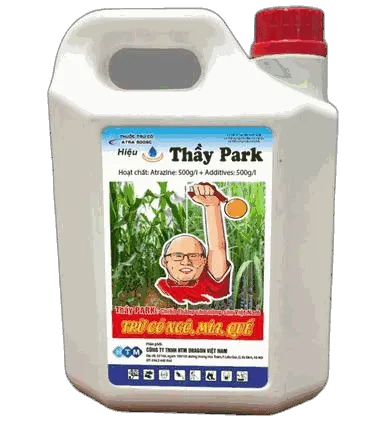 Thầy Park